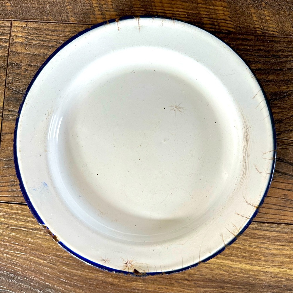 Vintage enamelware dinner plate